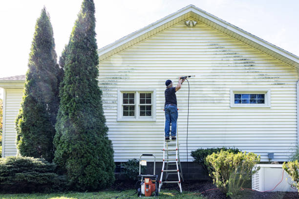 Best Dumpster Area Cleaning  in Shoreview, MN